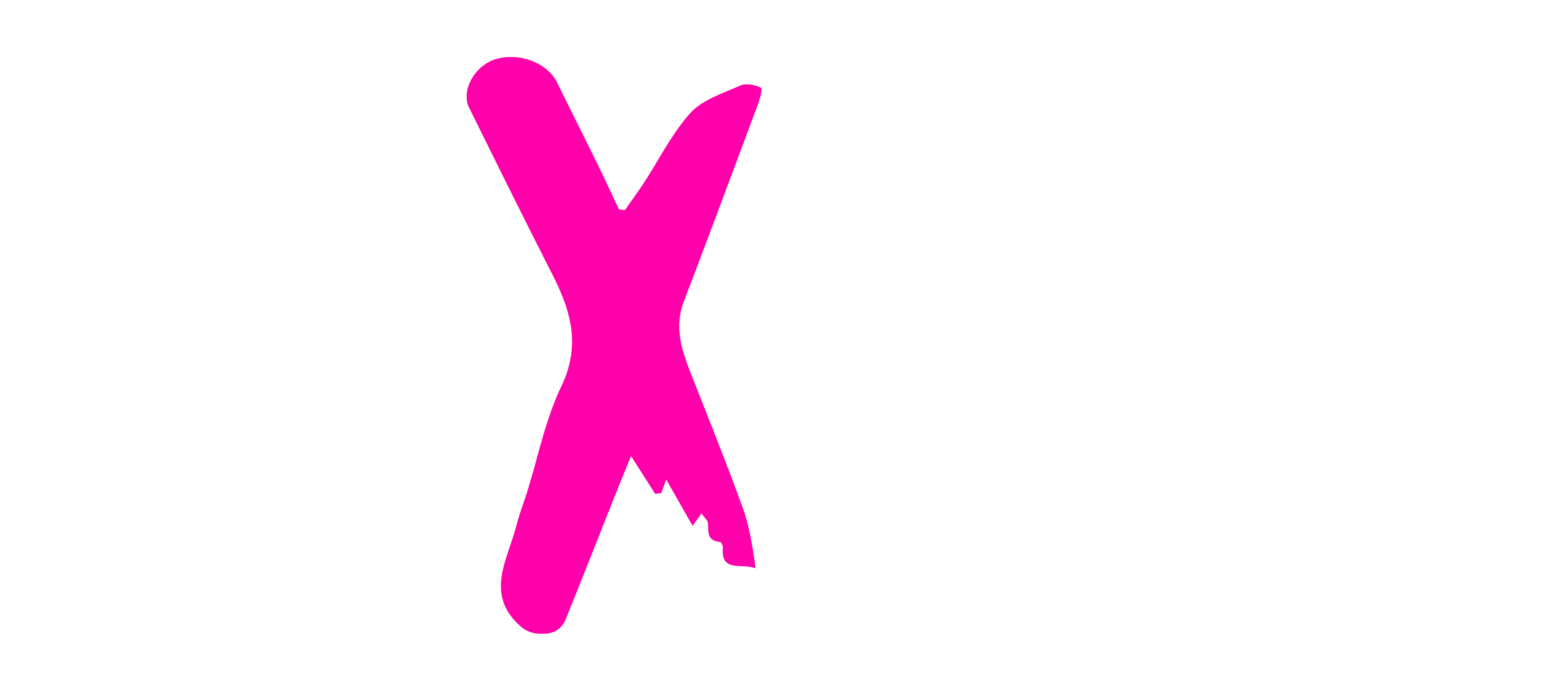 AXCF — Association XoXo Community France